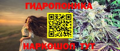 дмт Вышний Волочёк