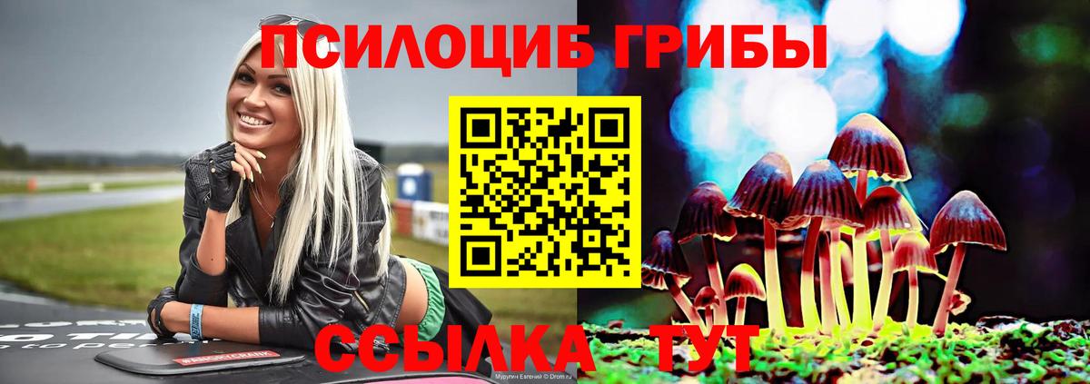 Псилоцибиновые грибы мухоморы Волгоград