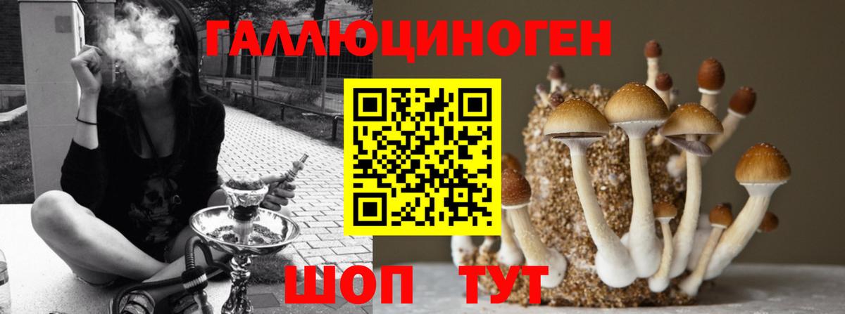 Псилоцибиновые грибы Magic Shrooms  Вход с VPN  Галлюциногенные грибы мухоморы  Волгоград 